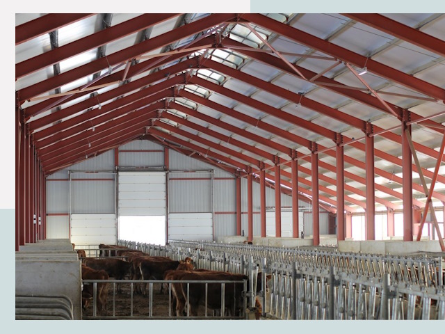 Строительство коровников в Череповце