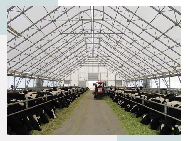 Тентовые коровники в Череповце от 613 руб. - Надежно и доступно