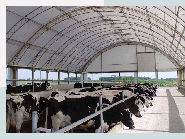 Тентовые коровники в Череповце
